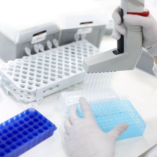 Аксессуары лабораторные